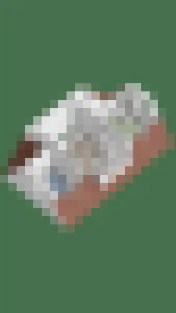 Korsebogerd 2 Lienden thumbnail 65