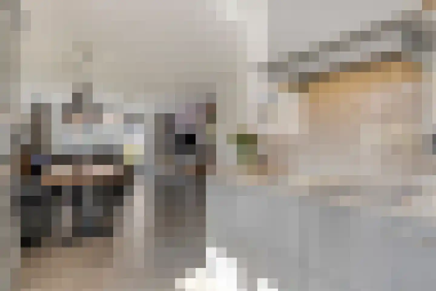 Korsebogerd 5 Lienden thumbnail 14