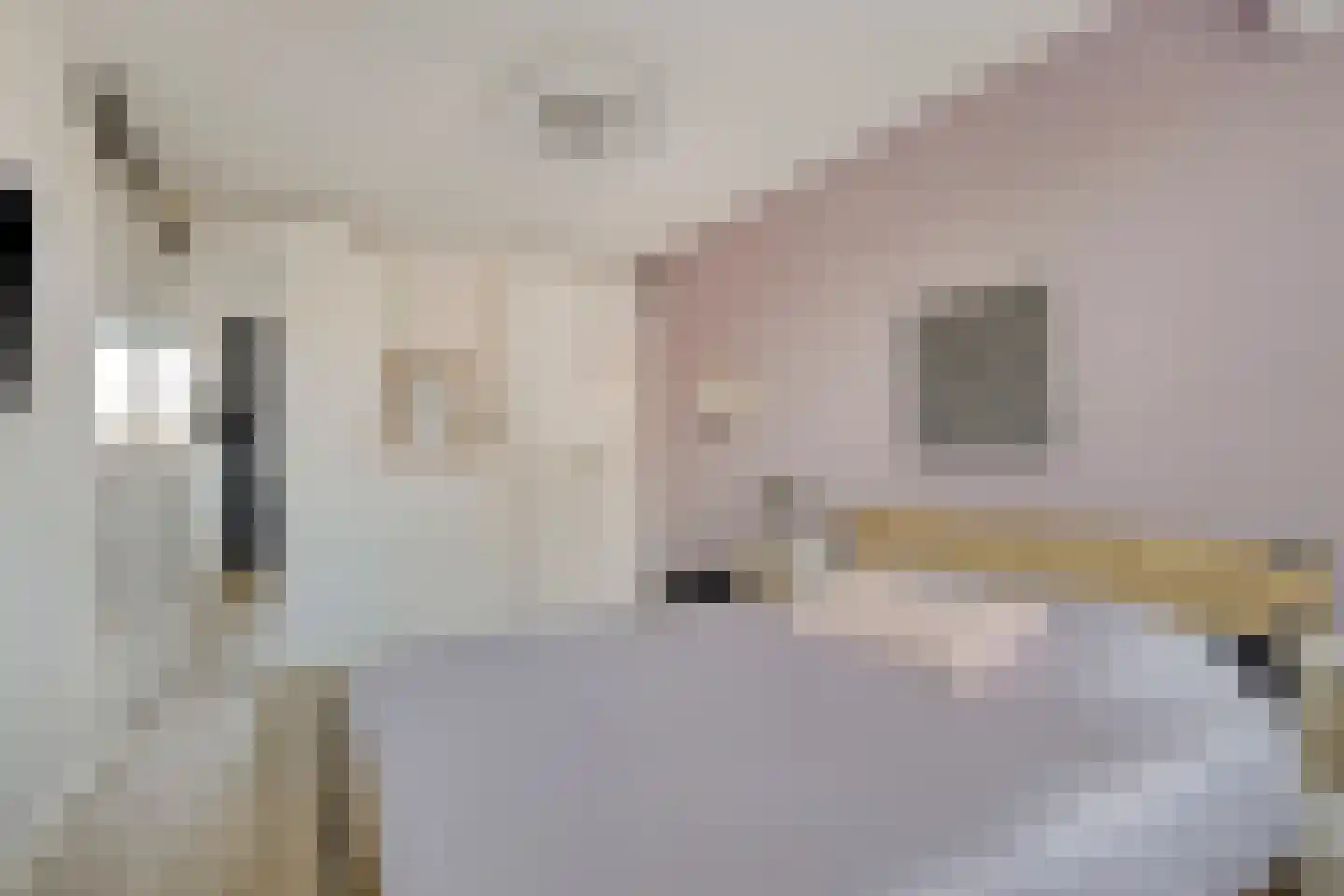 Korsebogerd 5 Lienden thumbnail 19