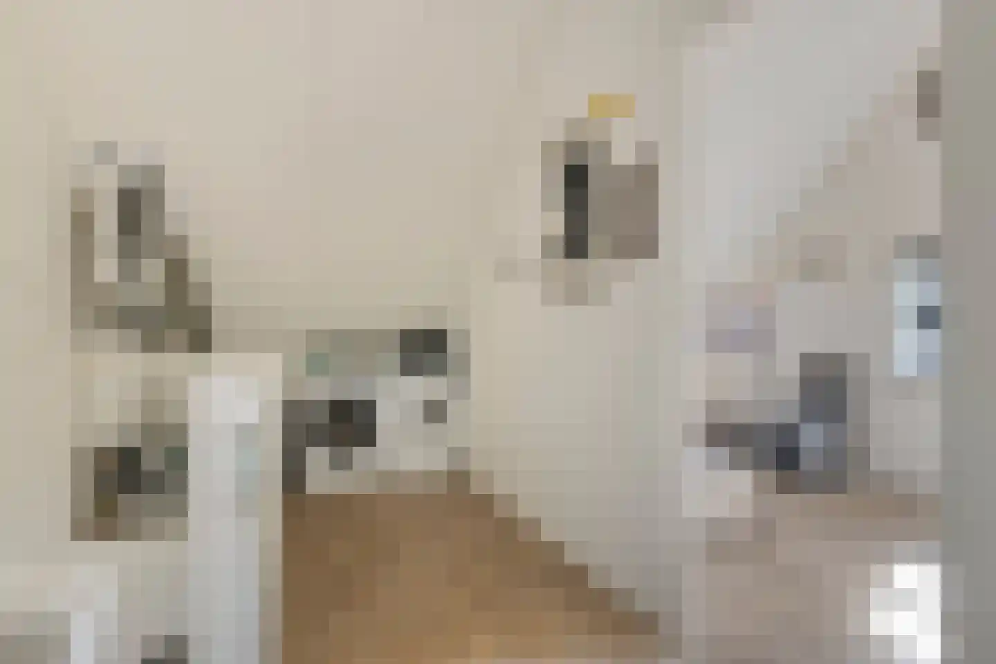 Korsebogerd 5 Lienden thumbnail 27
