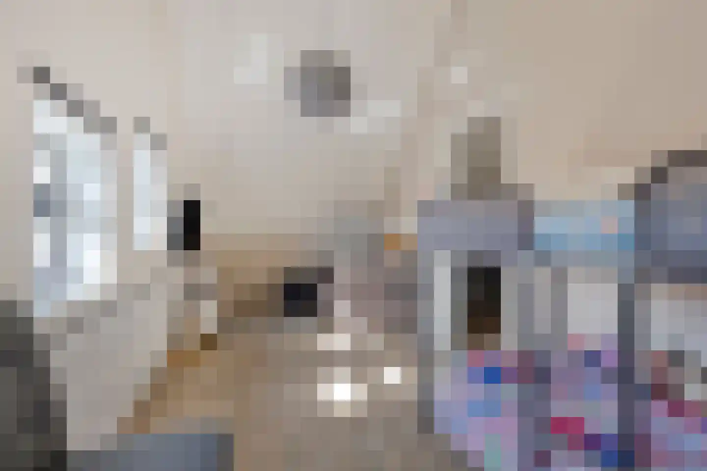 Korsebogerd 5 Lienden thumbnail 28