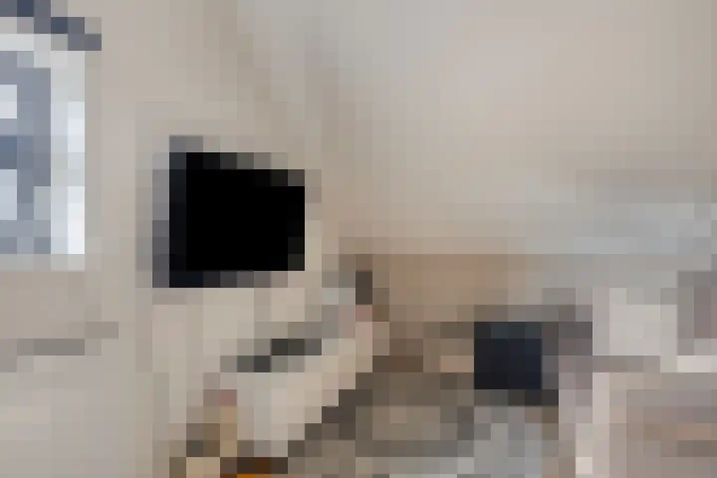 Korsebogerd 5 Lienden thumbnail 29