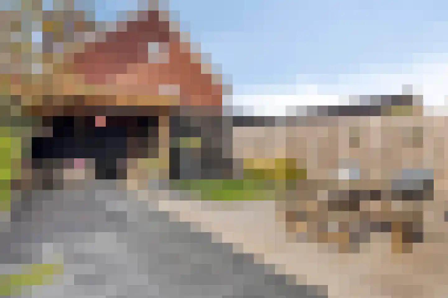 Korsebogerd 5 Lienden thumbnail 32
