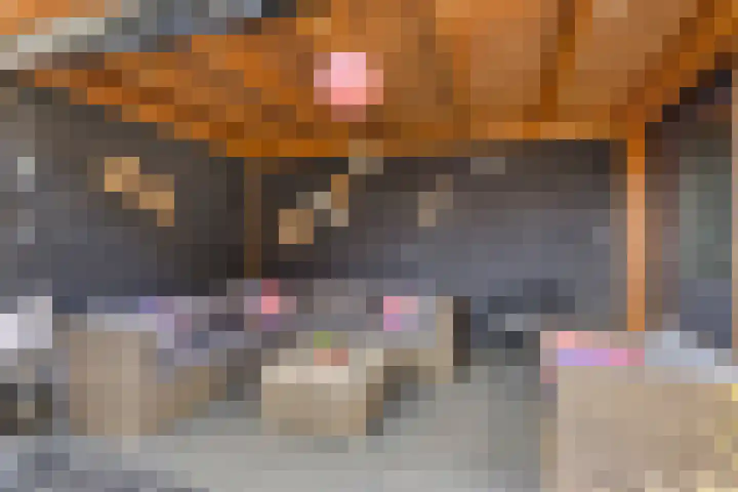 Korsebogerd 5 Lienden thumbnail 35