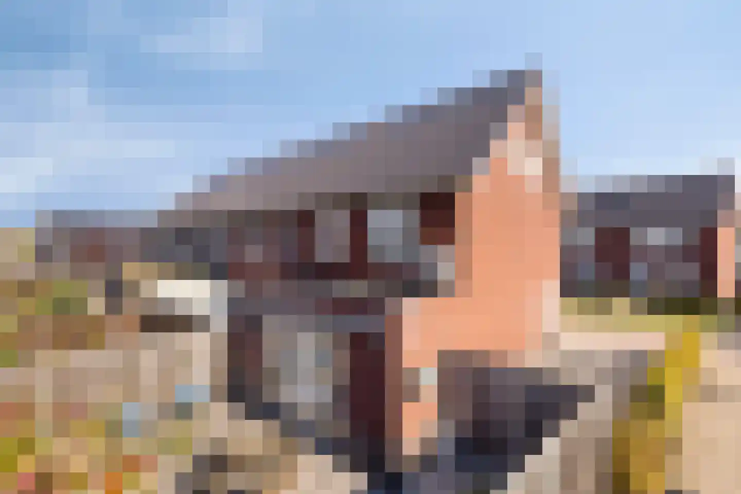 Korsebogerd 5 Lienden thumbnail 37