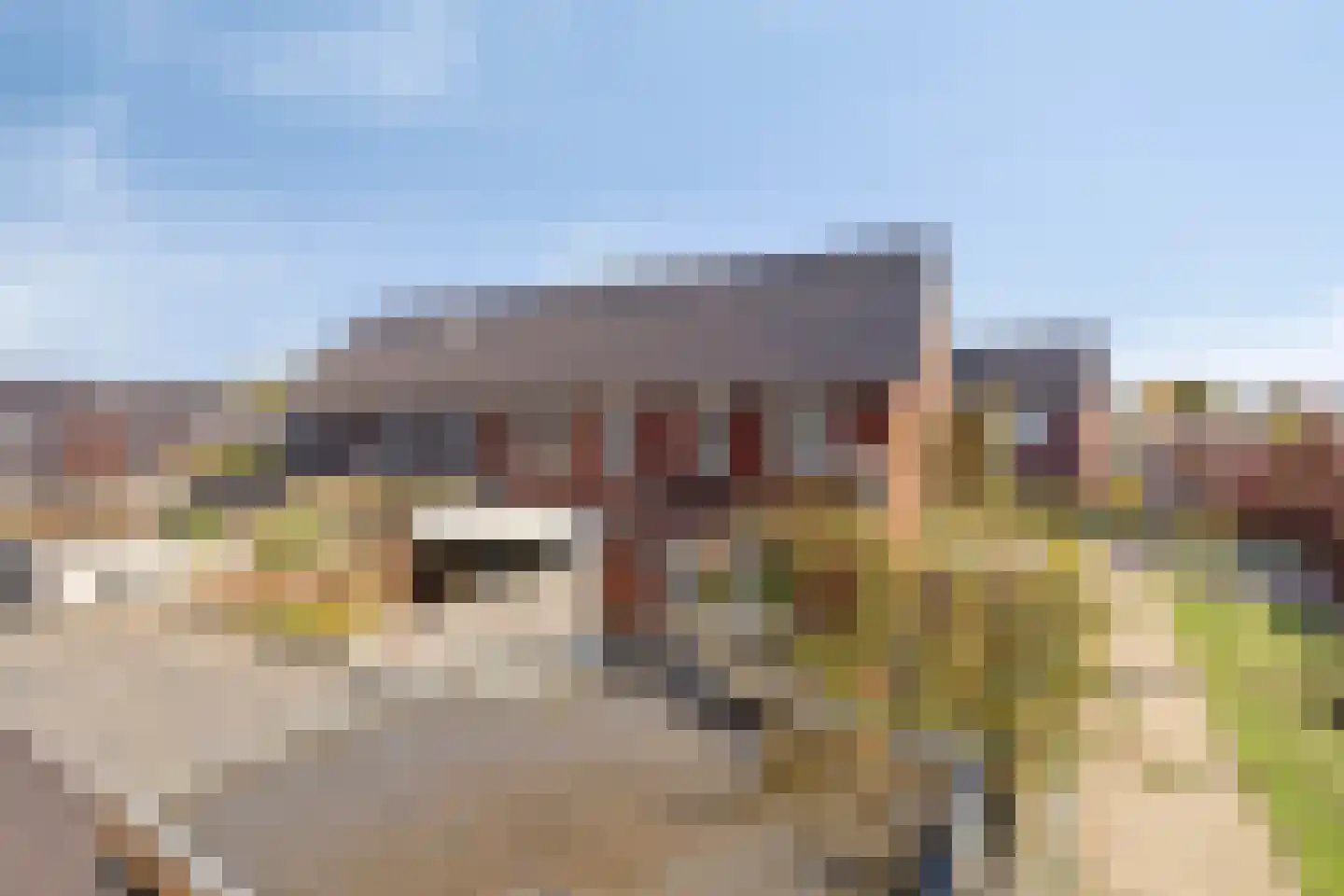 Korsebogerd 5 Lienden thumbnail 38