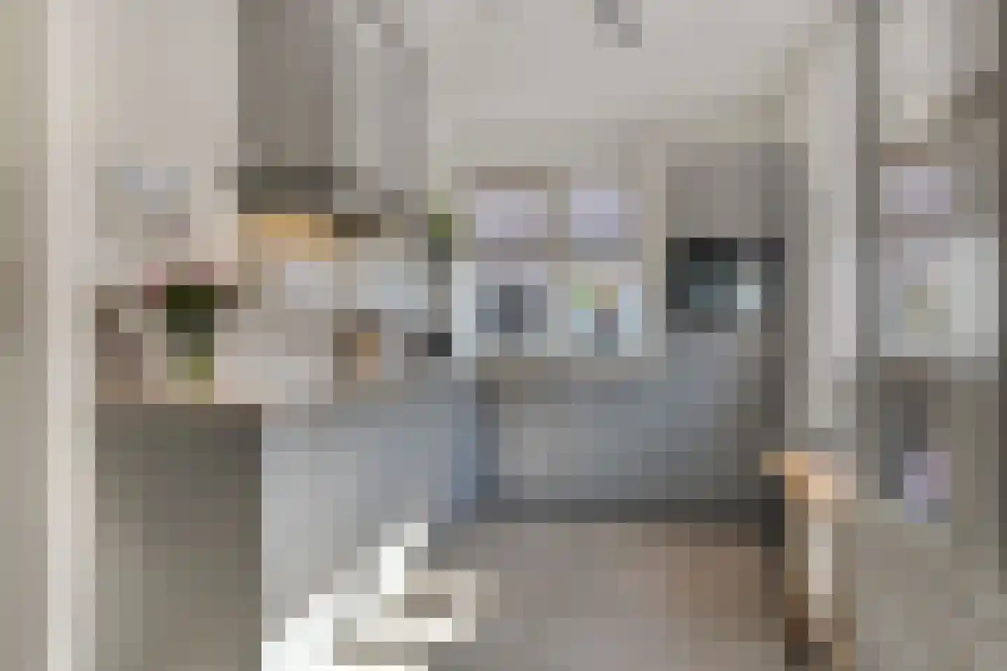 Korsebogerd 5 Lienden thumbnail 4