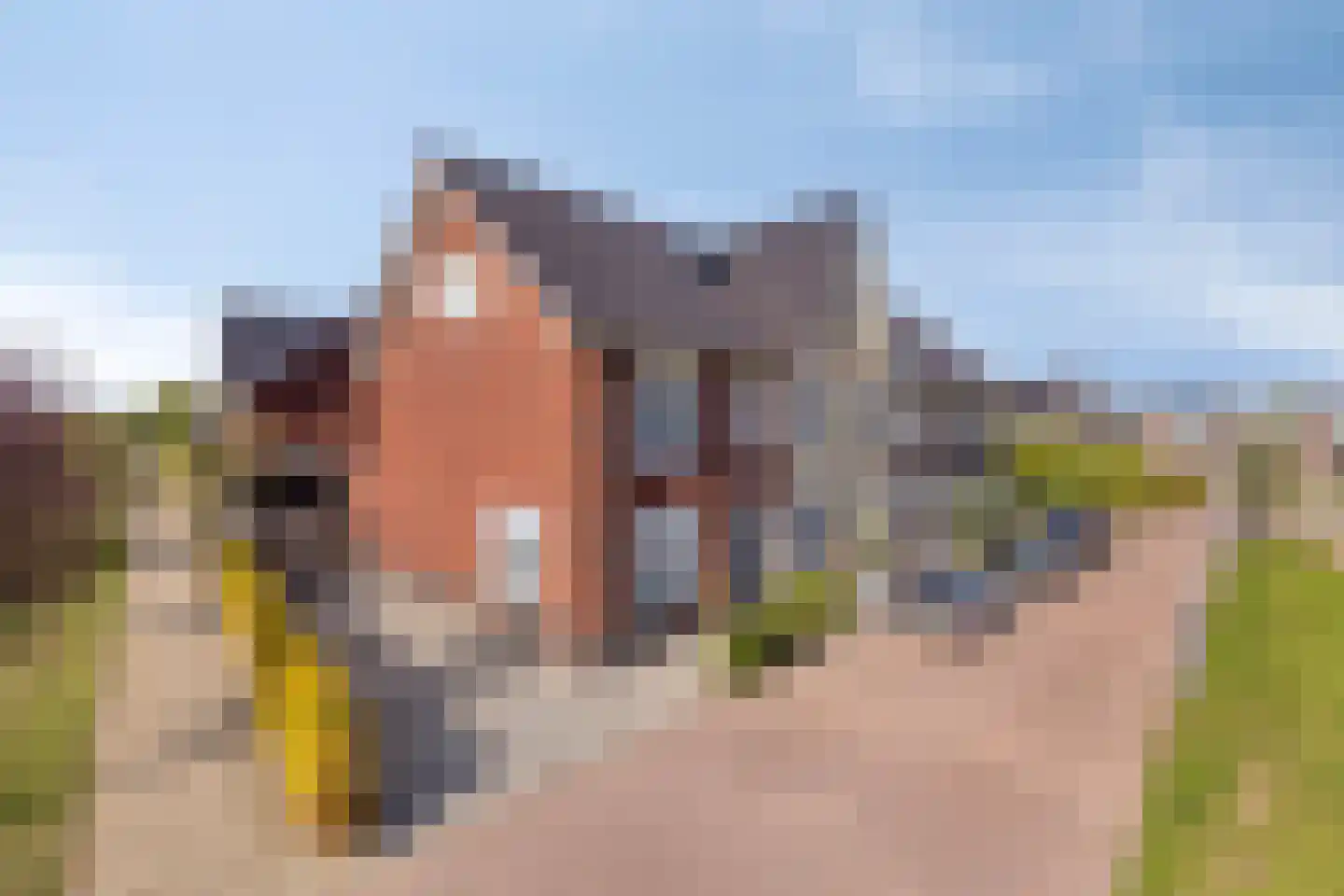 Korsebogerd 5 Lienden thumbnail 42