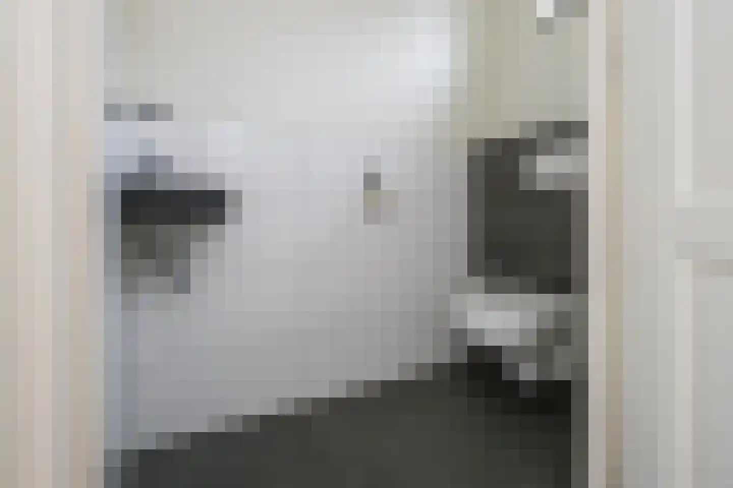 Korshof 10 Herwijnen thumbnail 10