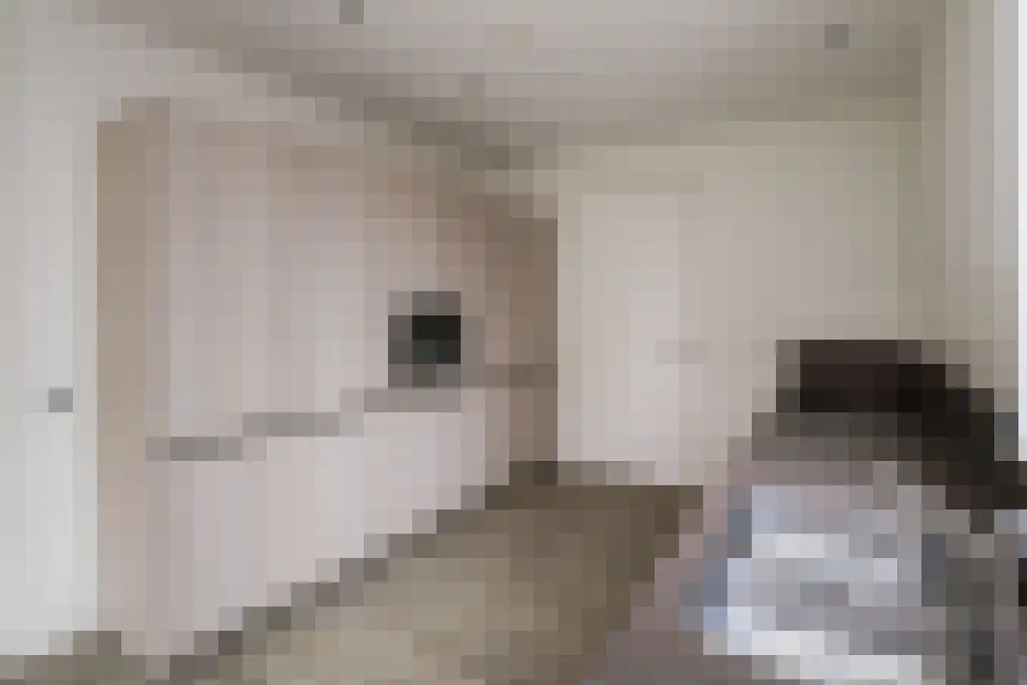Korshof 10 Herwijnen thumbnail 17