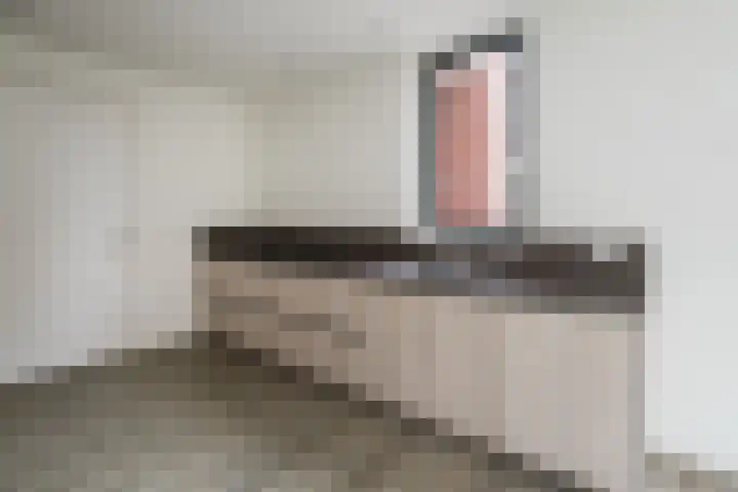 Korshof 10 Herwijnen thumbnail 18