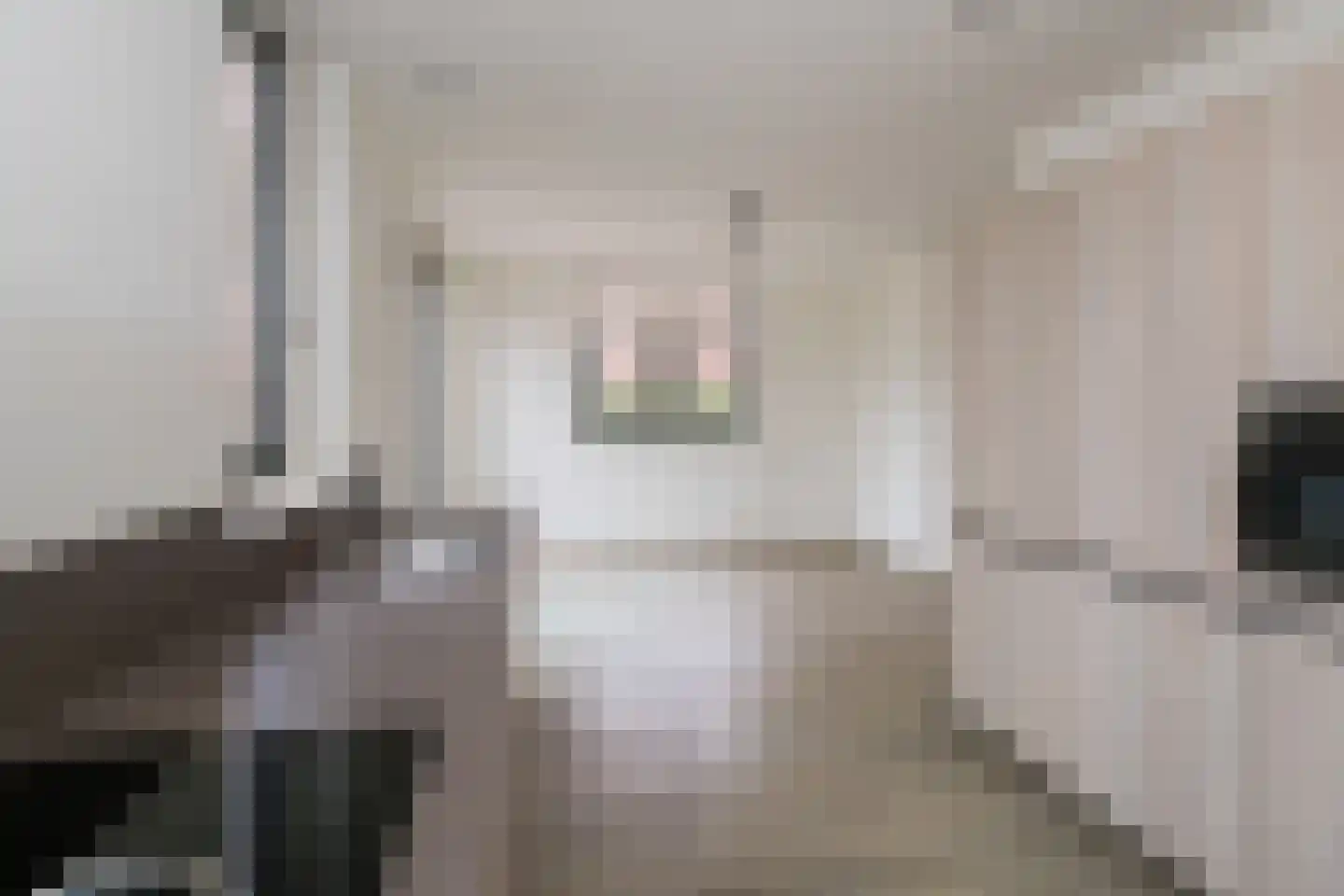 Korshof 10 Herwijnen thumbnail 19