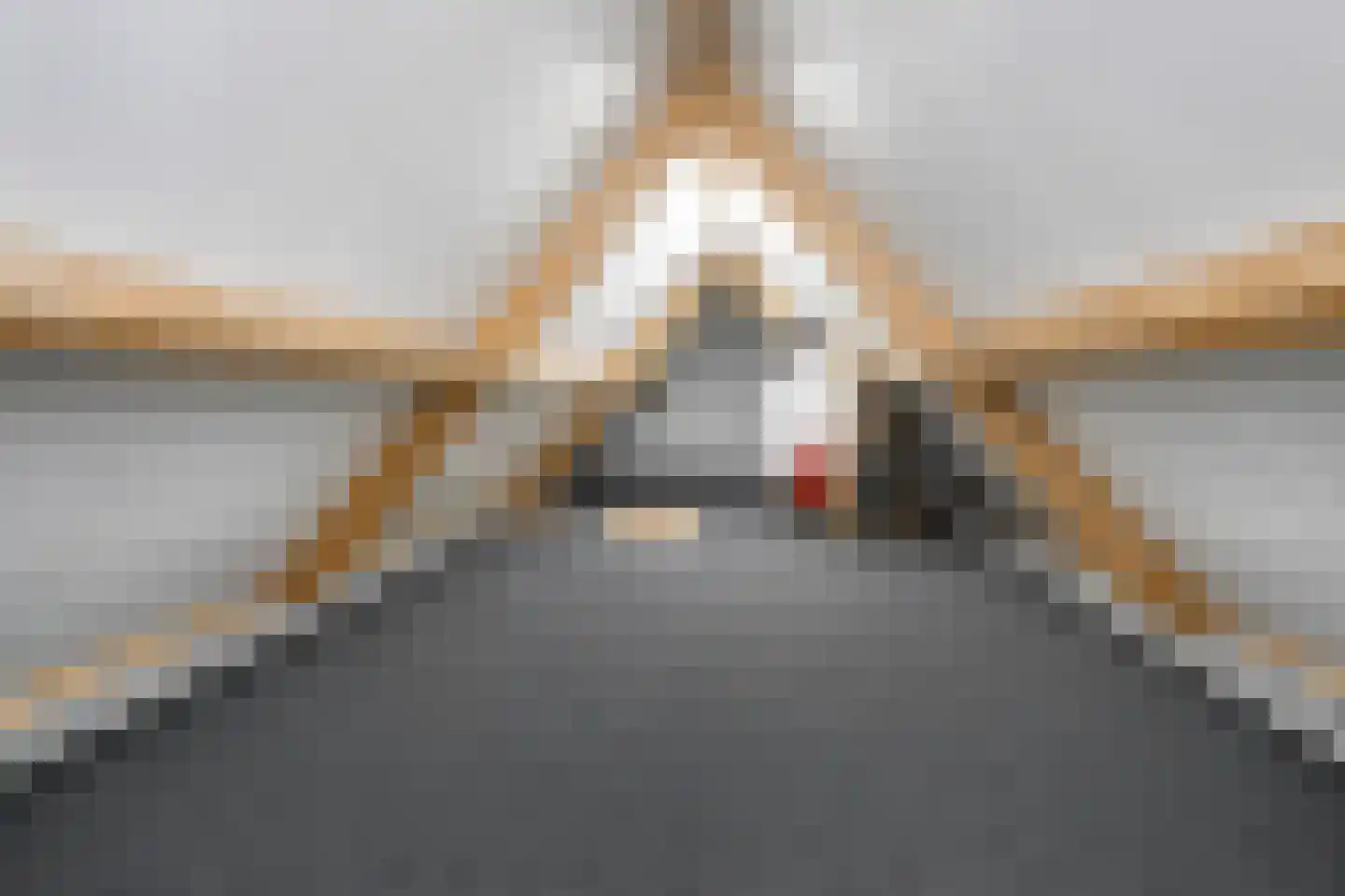 Korshof 10 Herwijnen thumbnail 36