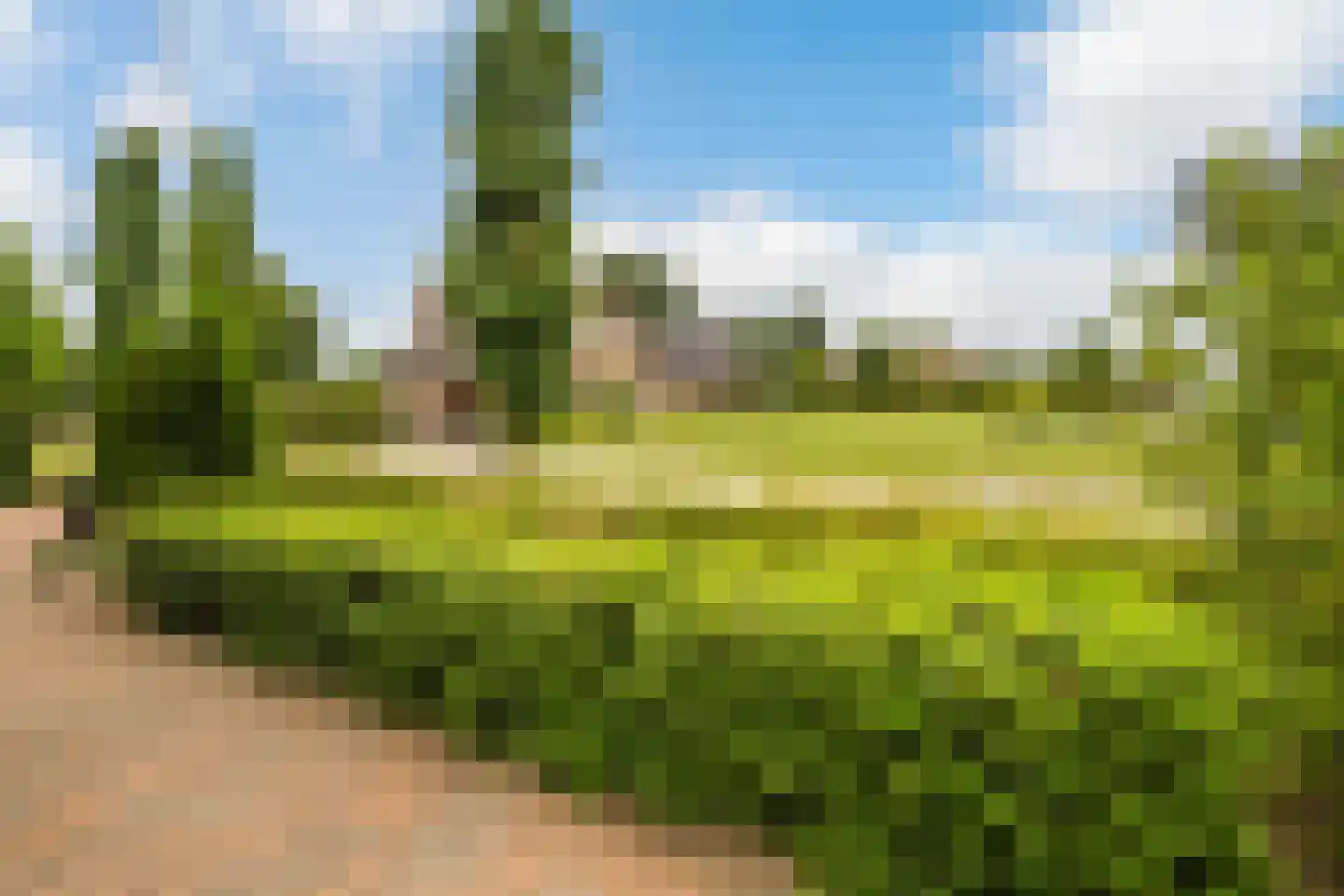 Korshof 10 Herwijnen thumbnail 40