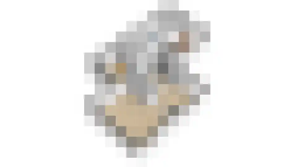 Korshof 10 Herwijnen thumbnail 52