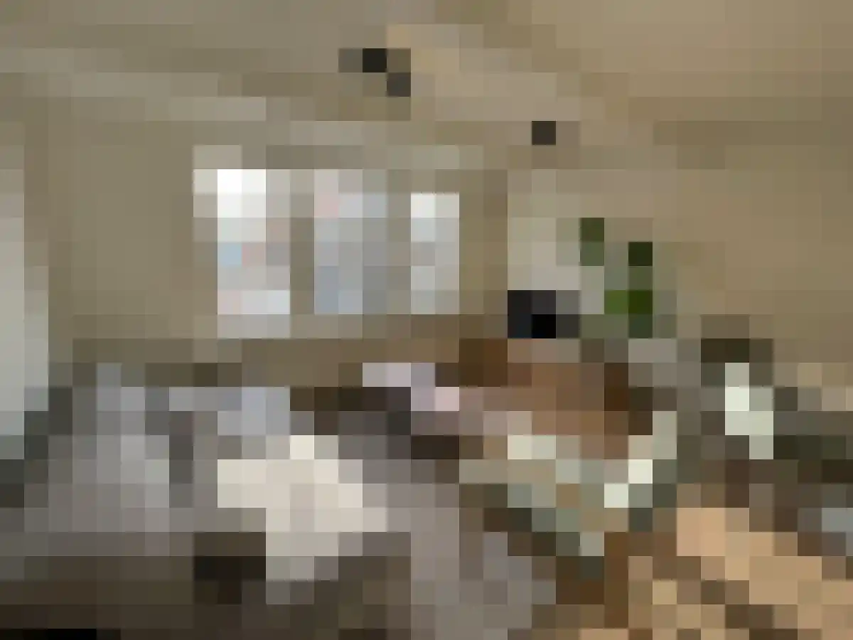Korsjespoortsteeg 6 Amsterdam thumbnail 4