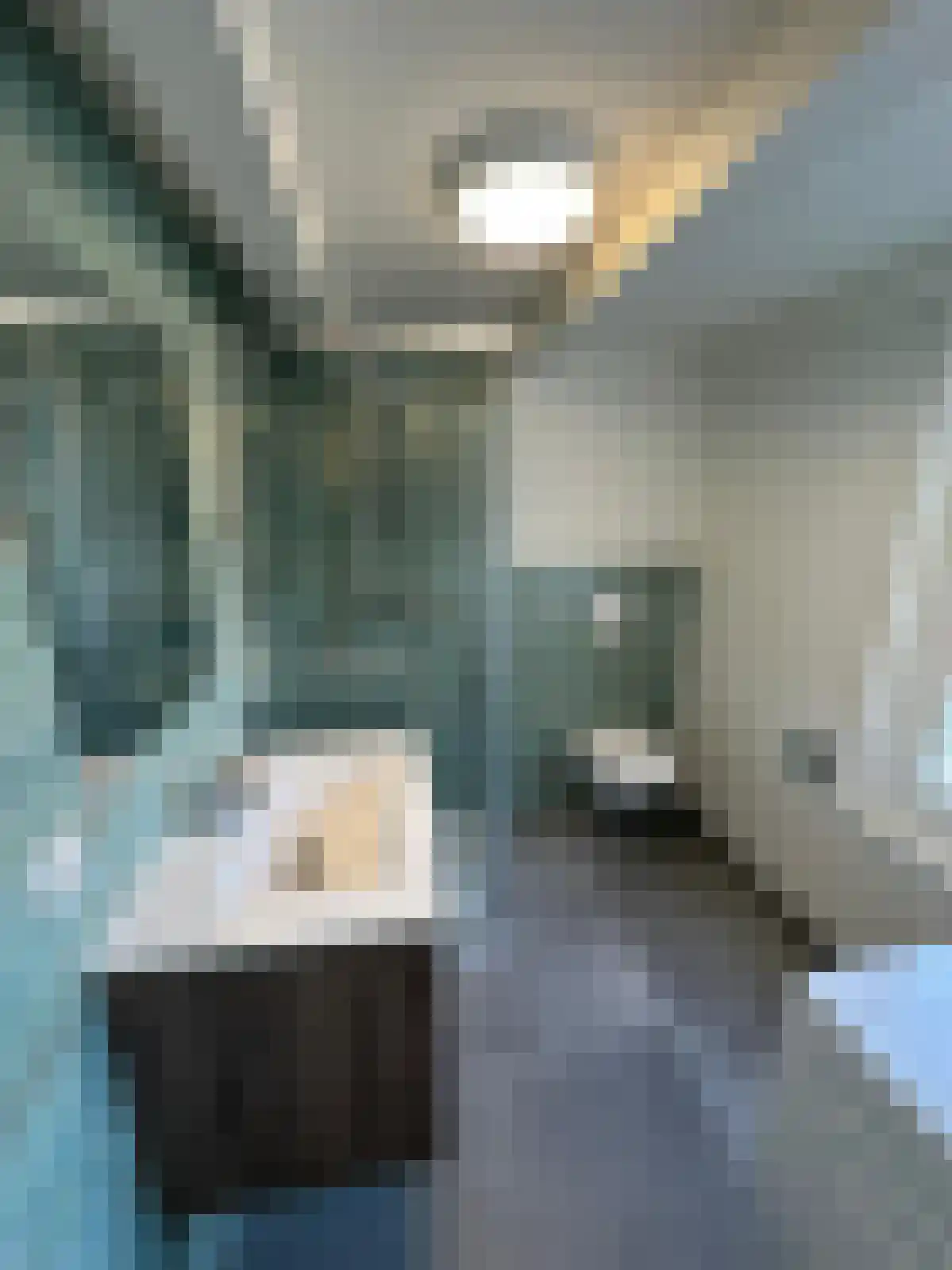 Korsjespoortsteeg 6 Amsterdam thumbnail 6