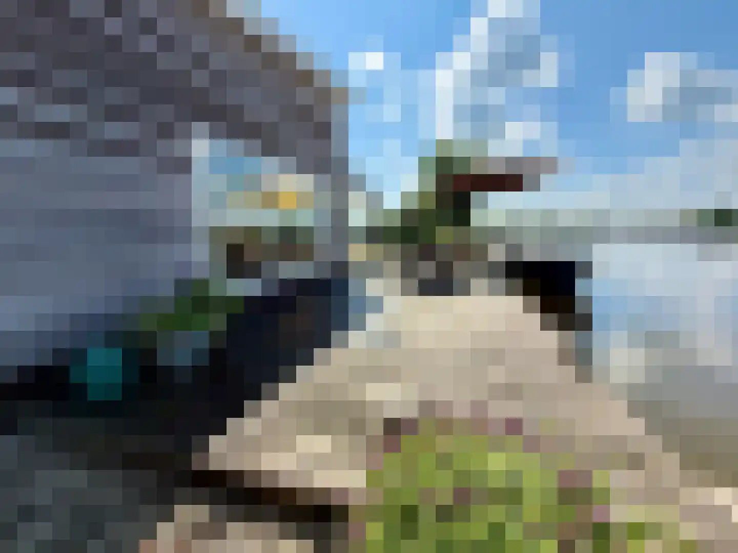 Korssendijk 14 1 Reeuwijk thumbnail 36