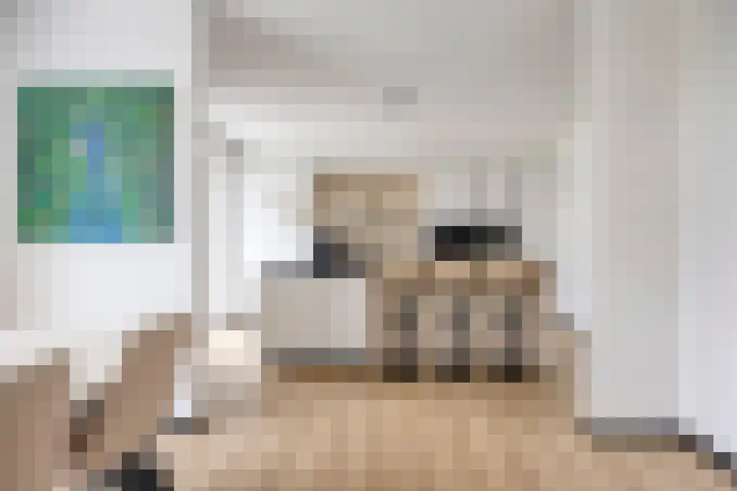 Korstiaen Bestebroerlaan 46 Tholen thumbnail 18