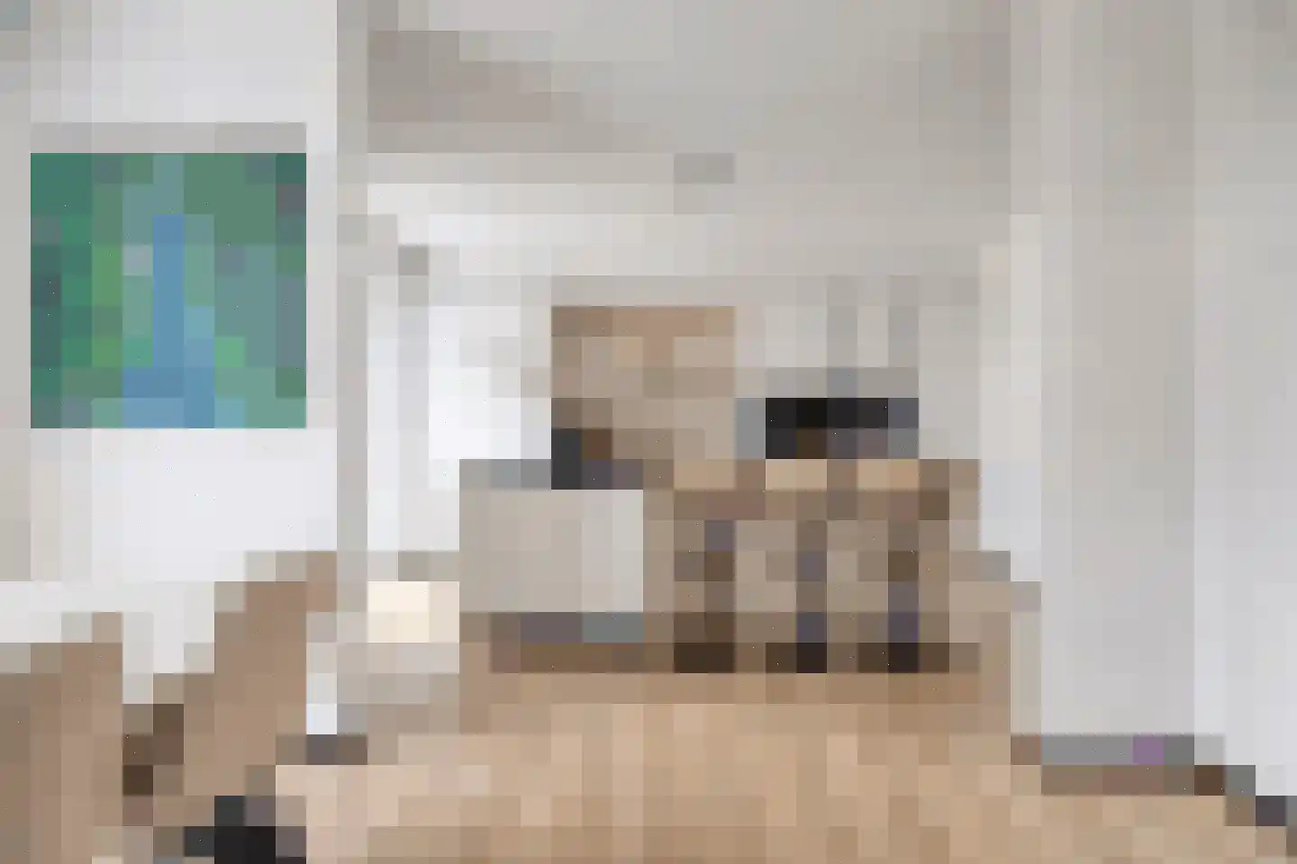 Korstiaen Bestebroerlaan 46 Tholen thumbnail 19