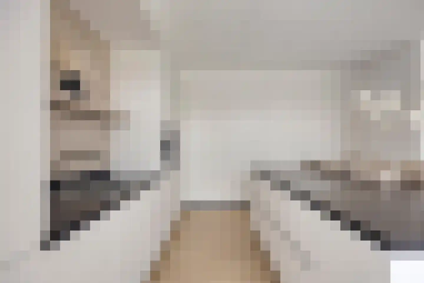 Korstiaen Bestebroerlaan 46 Tholen thumbnail 21