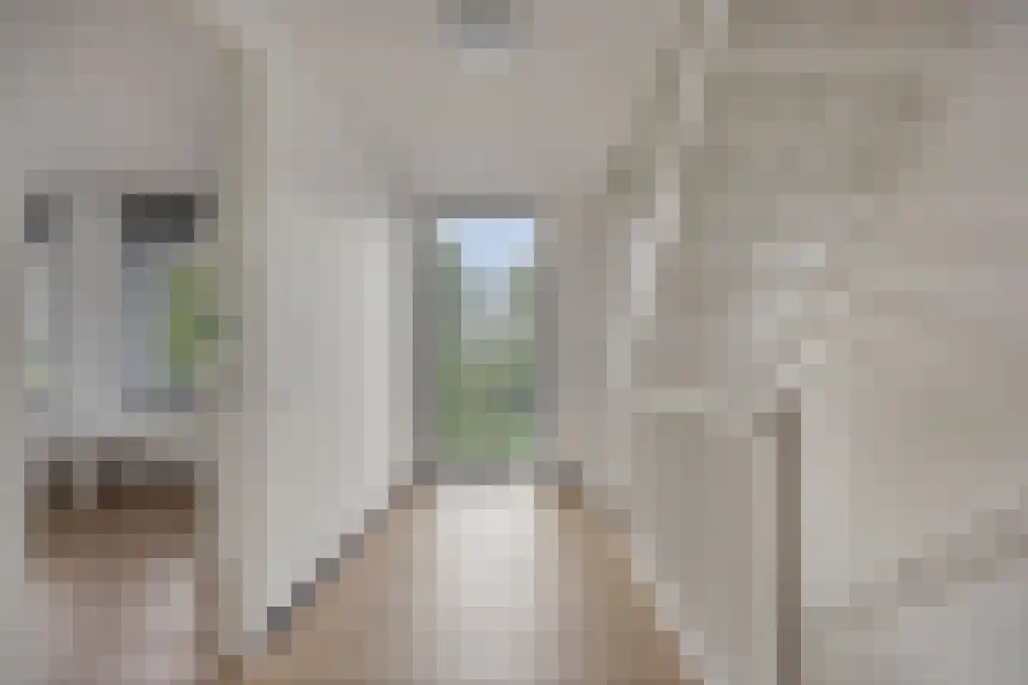 Korstiaen Bestebroerlaan 46 Tholen thumbnail 32