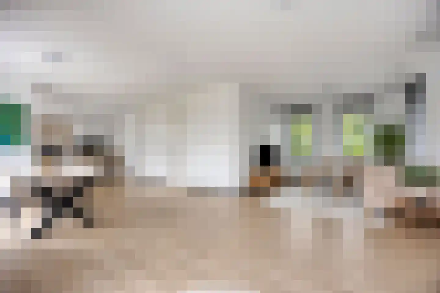 Korstiaen Bestebroerlaan 46 Tholen thumbnail 4