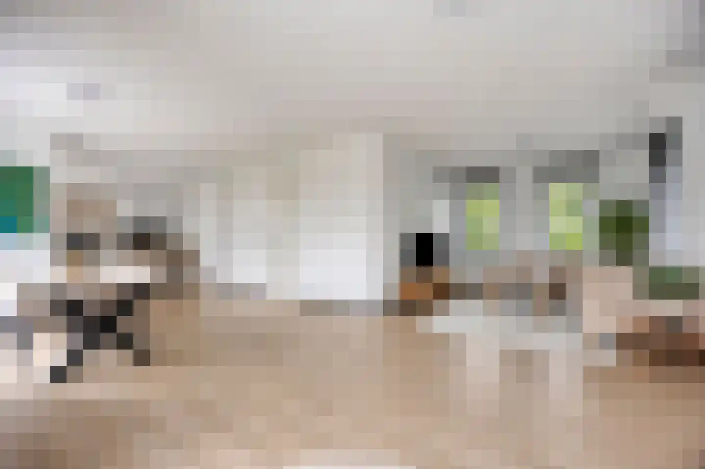 Korstiaen Bestebroerlaan 46 Tholen thumbnail 5