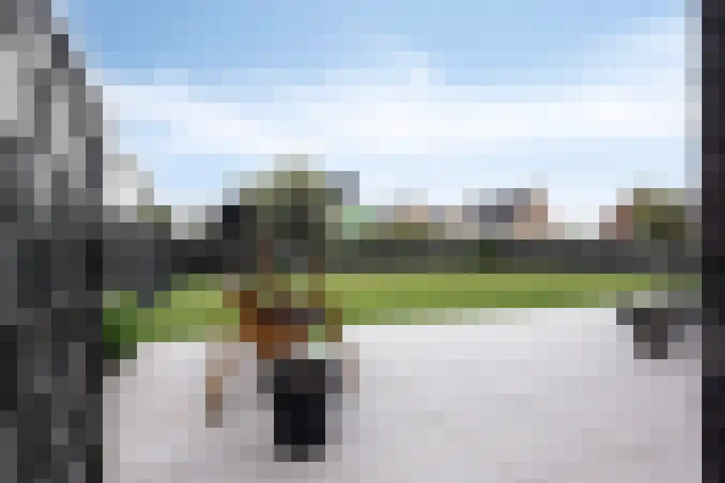 Korstiaen Bestebroerlaan 46 Tholen thumbnail 61