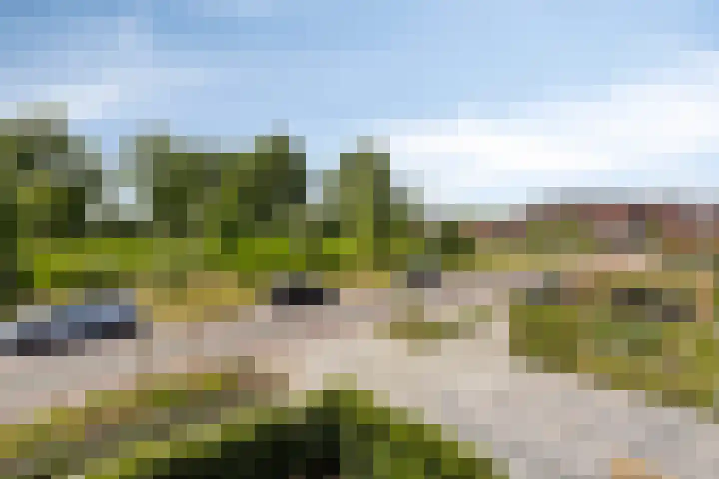 Korstiaen Bestebroerlaan 46 Tholen thumbnail 77