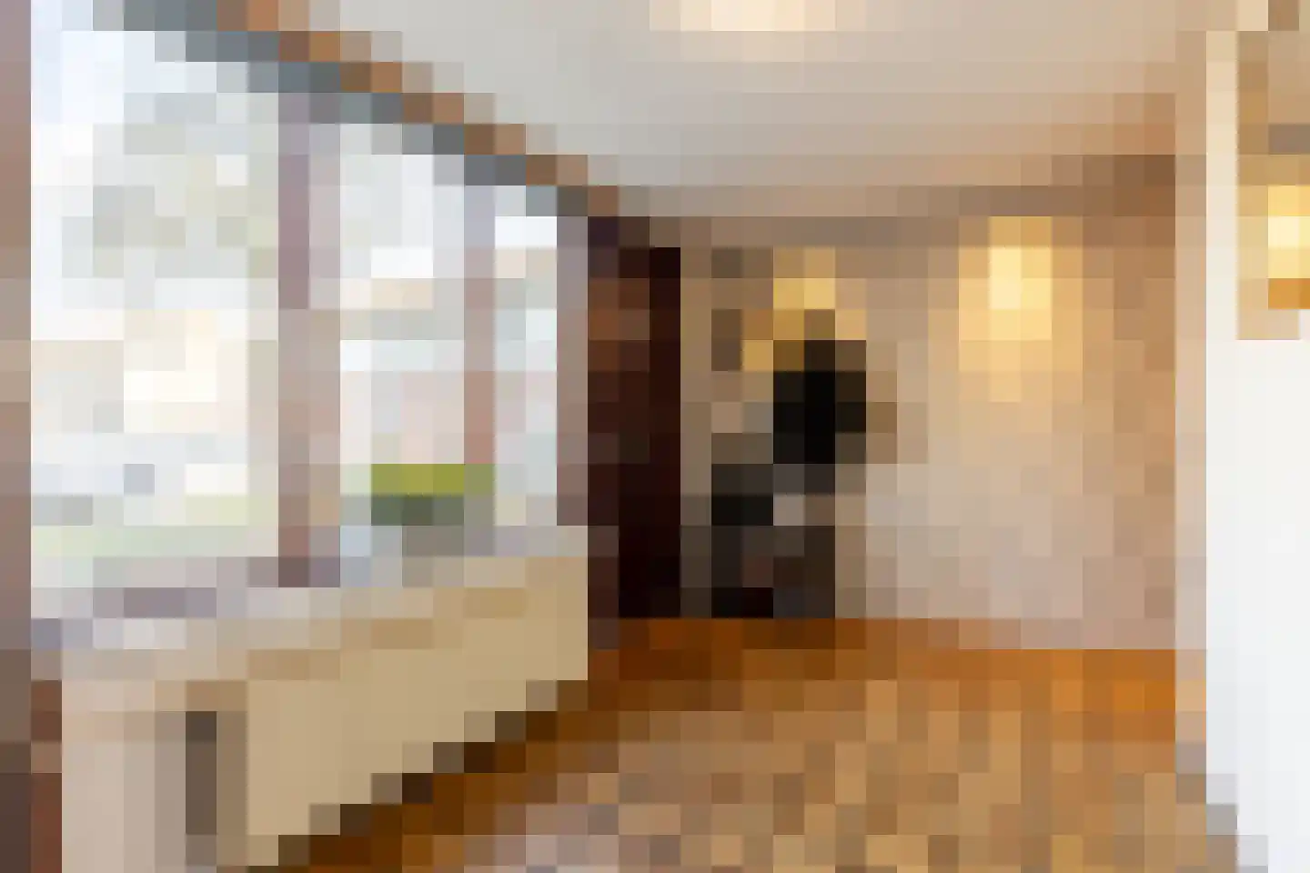 Korstmos 37 Nieuwerkerk aan den IJssel thumbnail 10