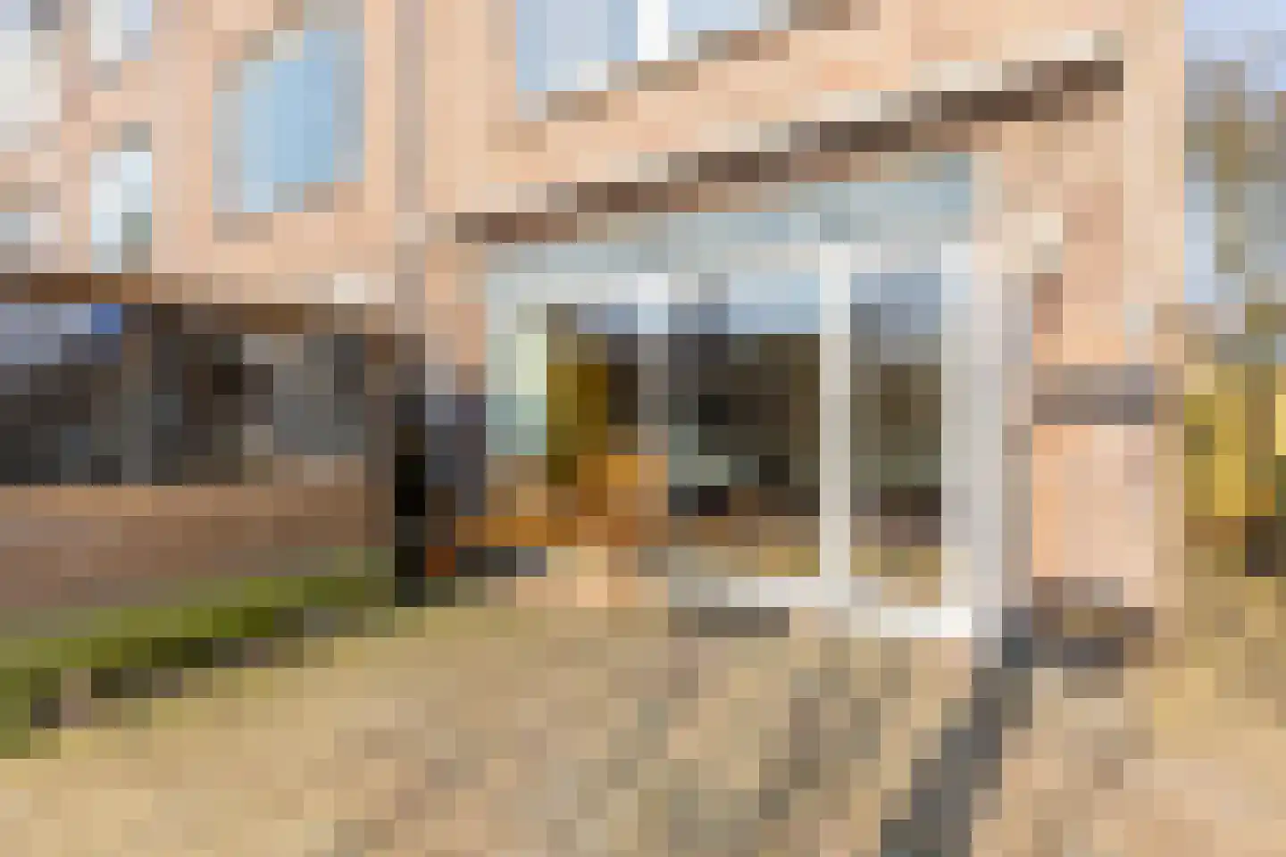 Korstmos 37 Nieuwerkerk aan den IJssel thumbnail 15