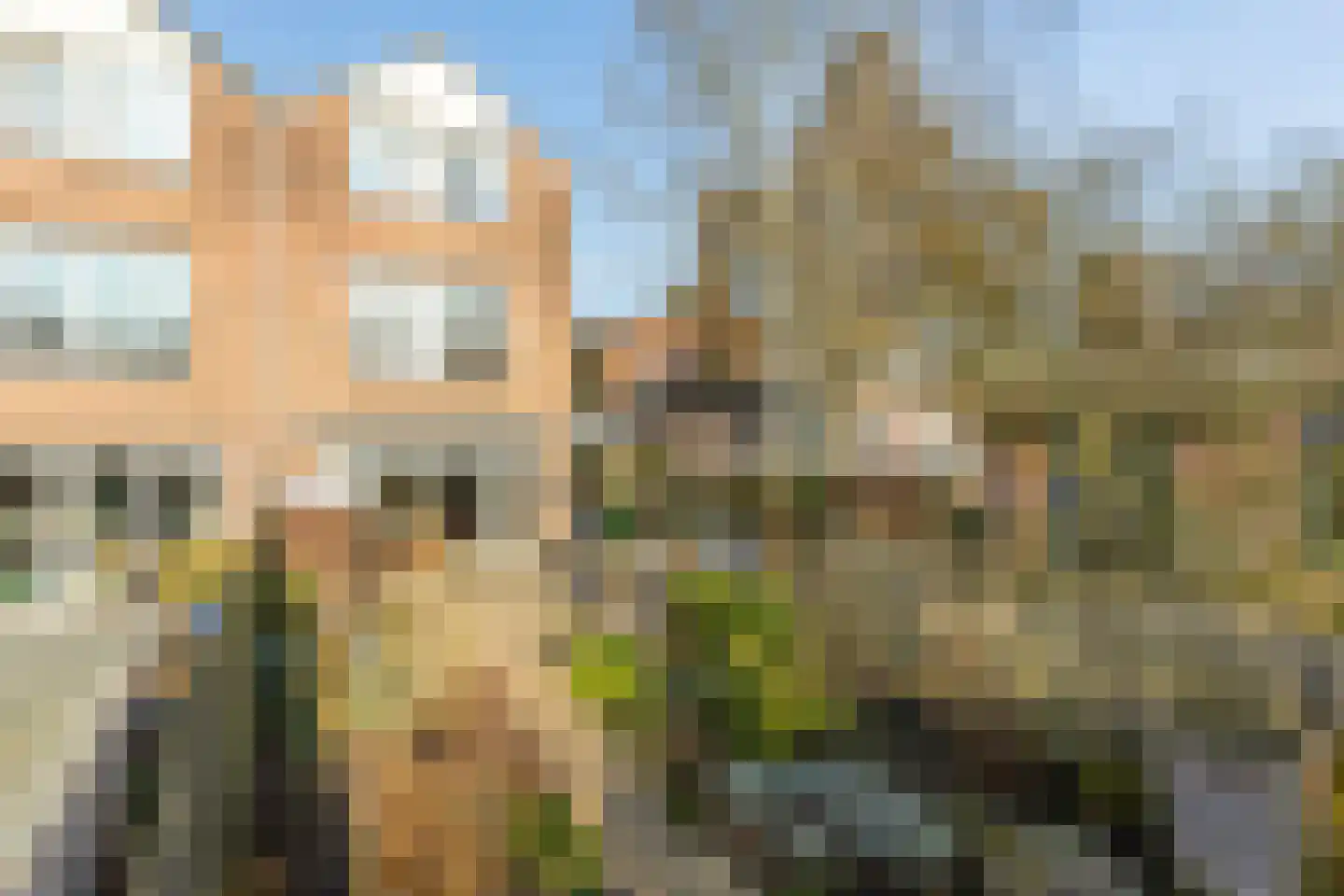 Korstmos 37 Nieuwerkerk aan den IJssel thumbnail 16