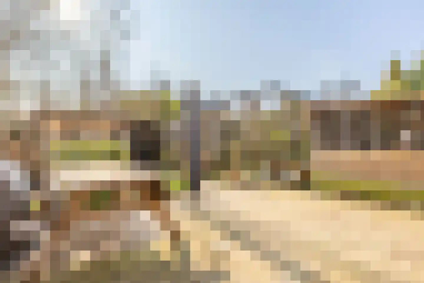 Korstmos 37 Nieuwerkerk aan den IJssel thumbnail 17
