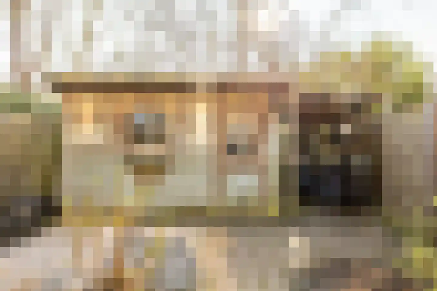 Korstmos 37 Nieuwerkerk aan den IJssel thumbnail 18