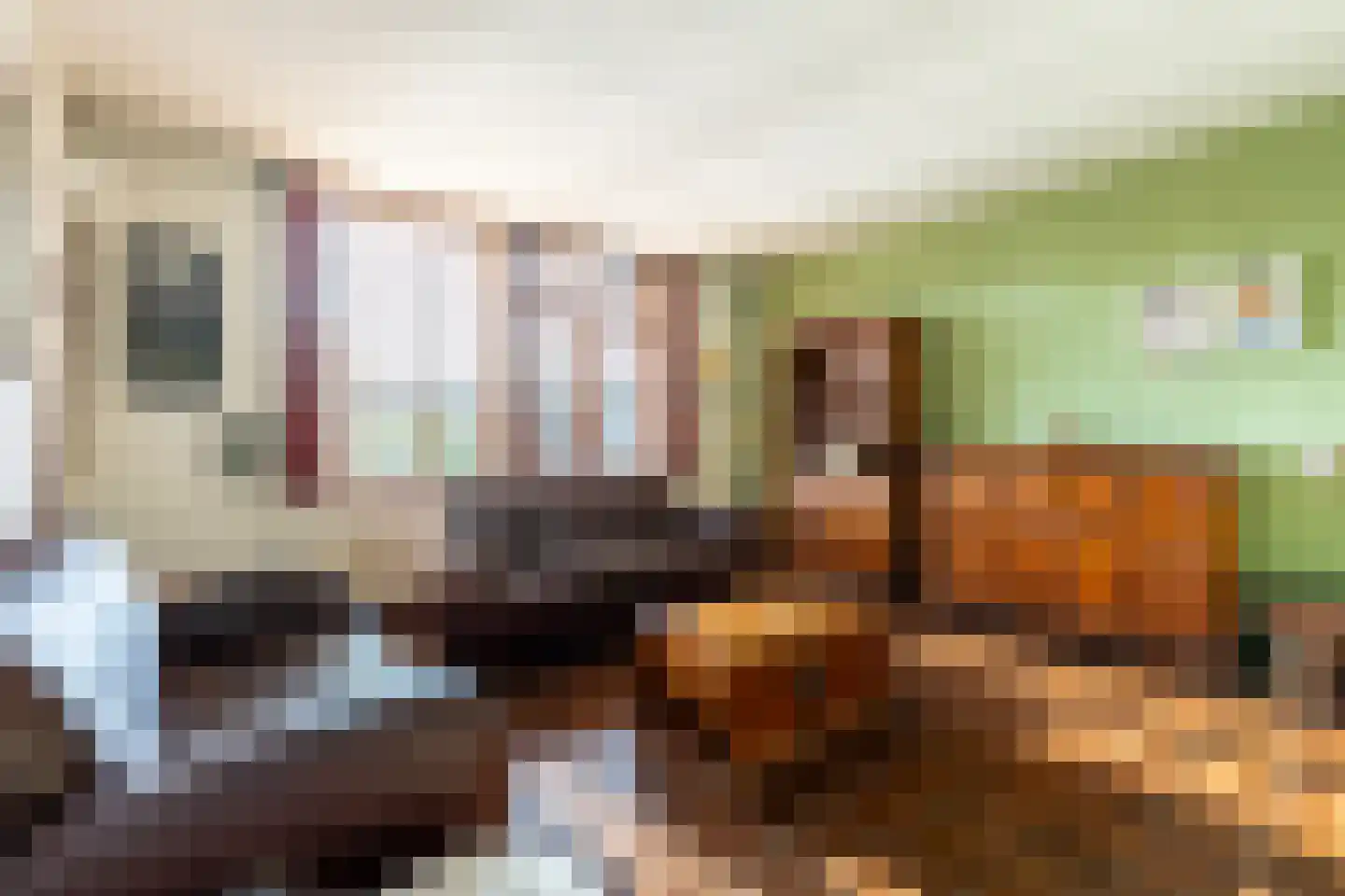 Korstmos 37 Nieuwerkerk aan den IJssel thumbnail 25