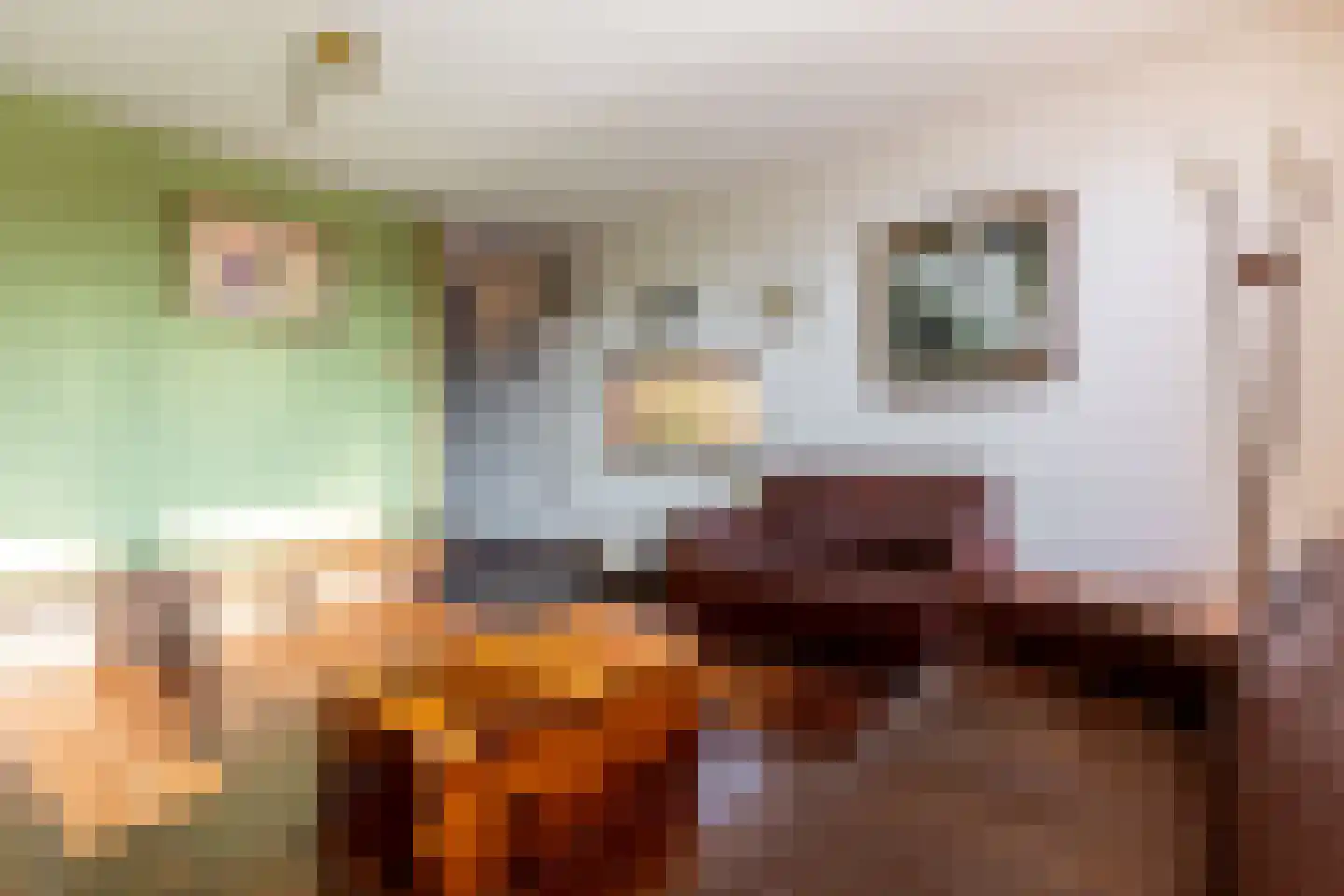 Korstmos 37 Nieuwerkerk aan den IJssel thumbnail 27