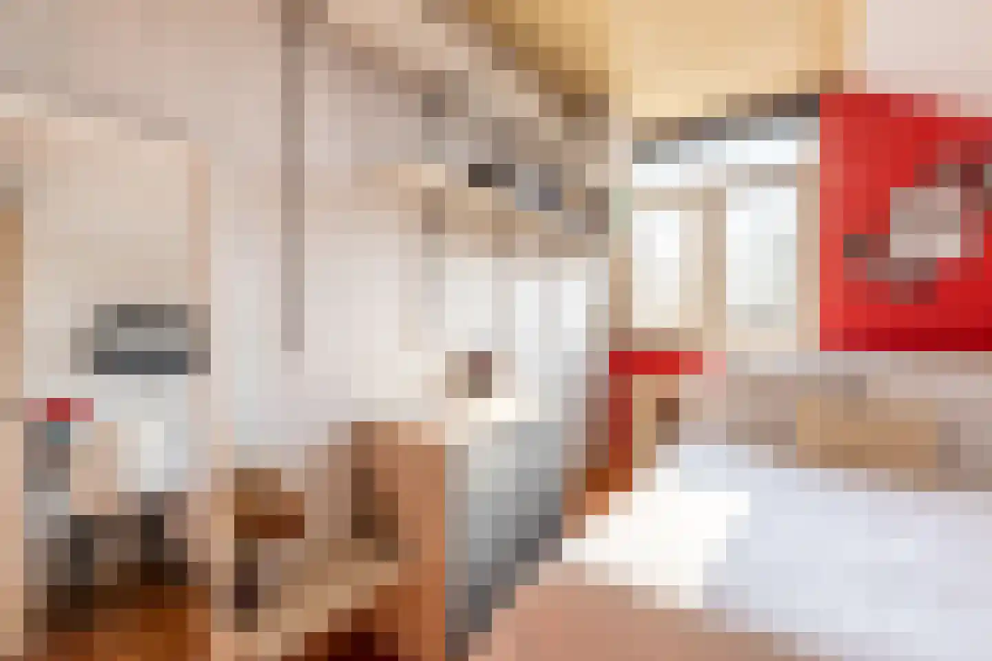 Korstmos 37 Nieuwerkerk aan den IJssel thumbnail 35