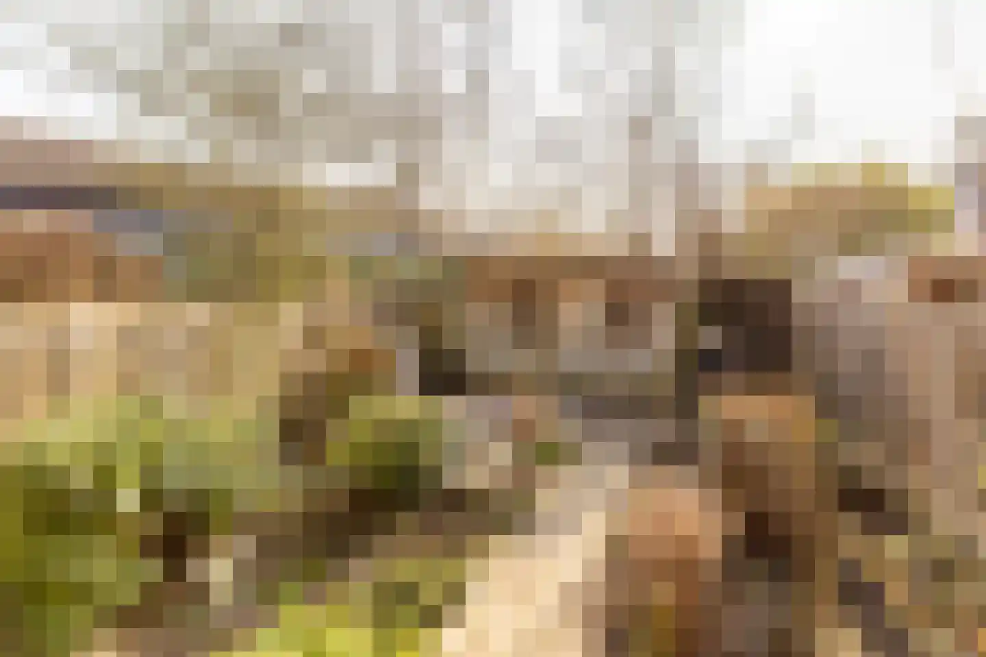 Korstmos 37 Nieuwerkerk aan den IJssel thumbnail 4