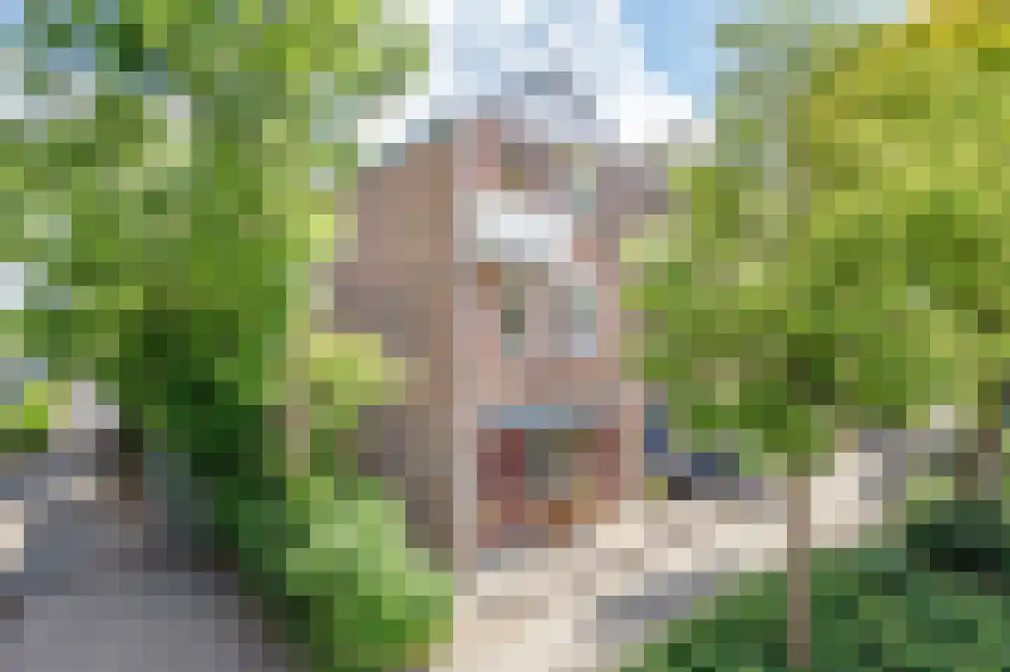 Korstmos 37 Nieuwerkerk aan den IJssel thumbnail 40