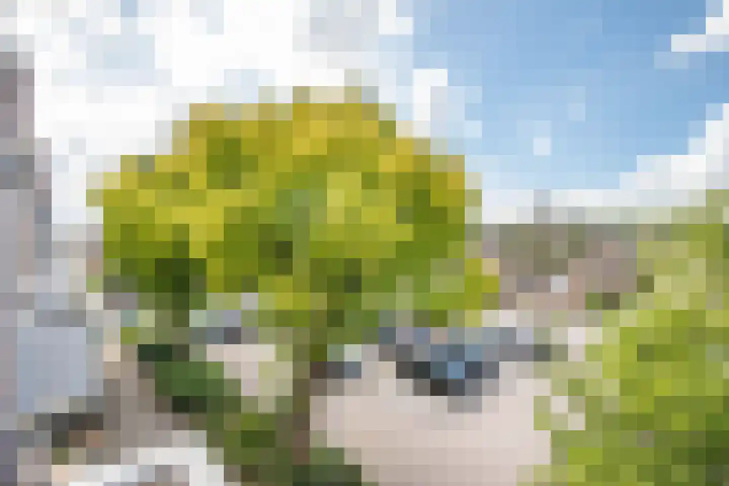 Korstmos 37 Nieuwerkerk aan den IJssel thumbnail 41