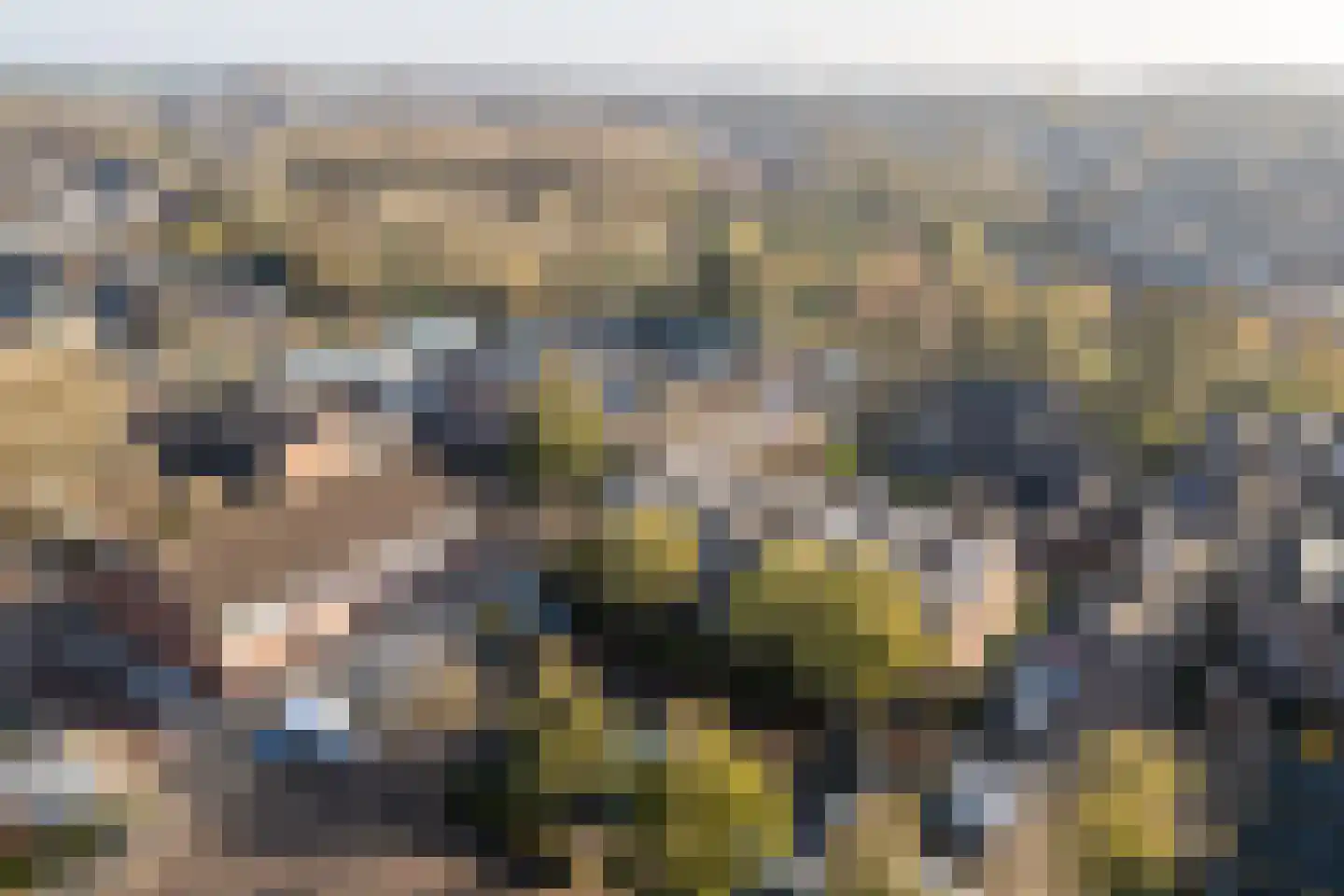 Korstmos 37 Nieuwerkerk aan den IJssel thumbnail 42