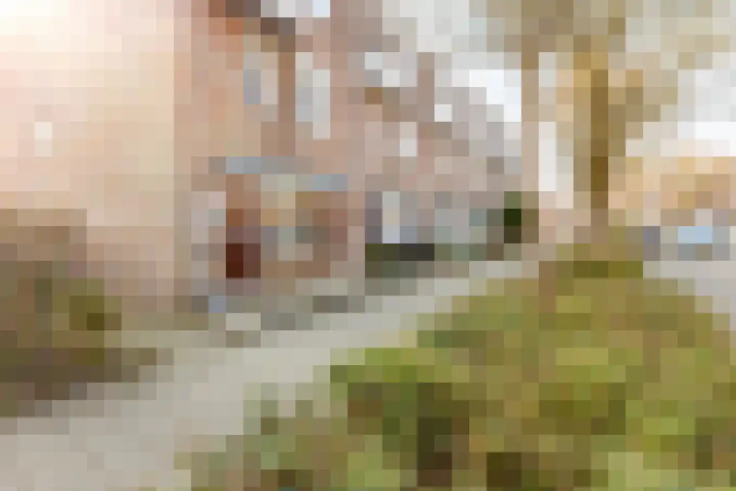 Korstmos 37 Nieuwerkerk aan den IJssel thumbnail 43