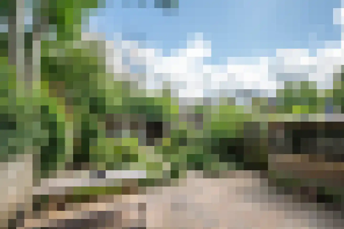 Korstmos 37 Nieuwerkerk aan den IJssel thumbnail 44