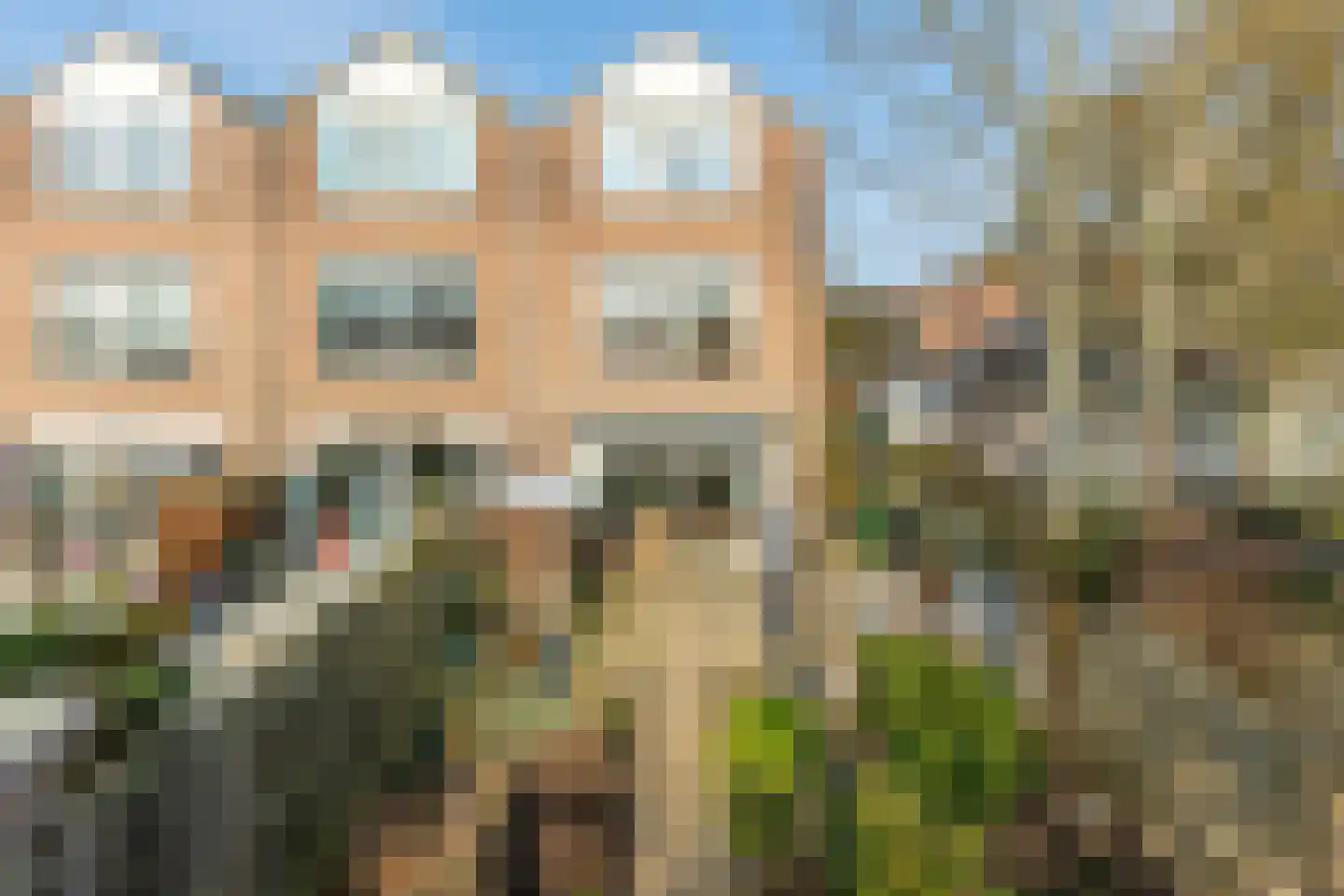 Korstmos 37 Nieuwerkerk aan den IJssel thumbnail 46