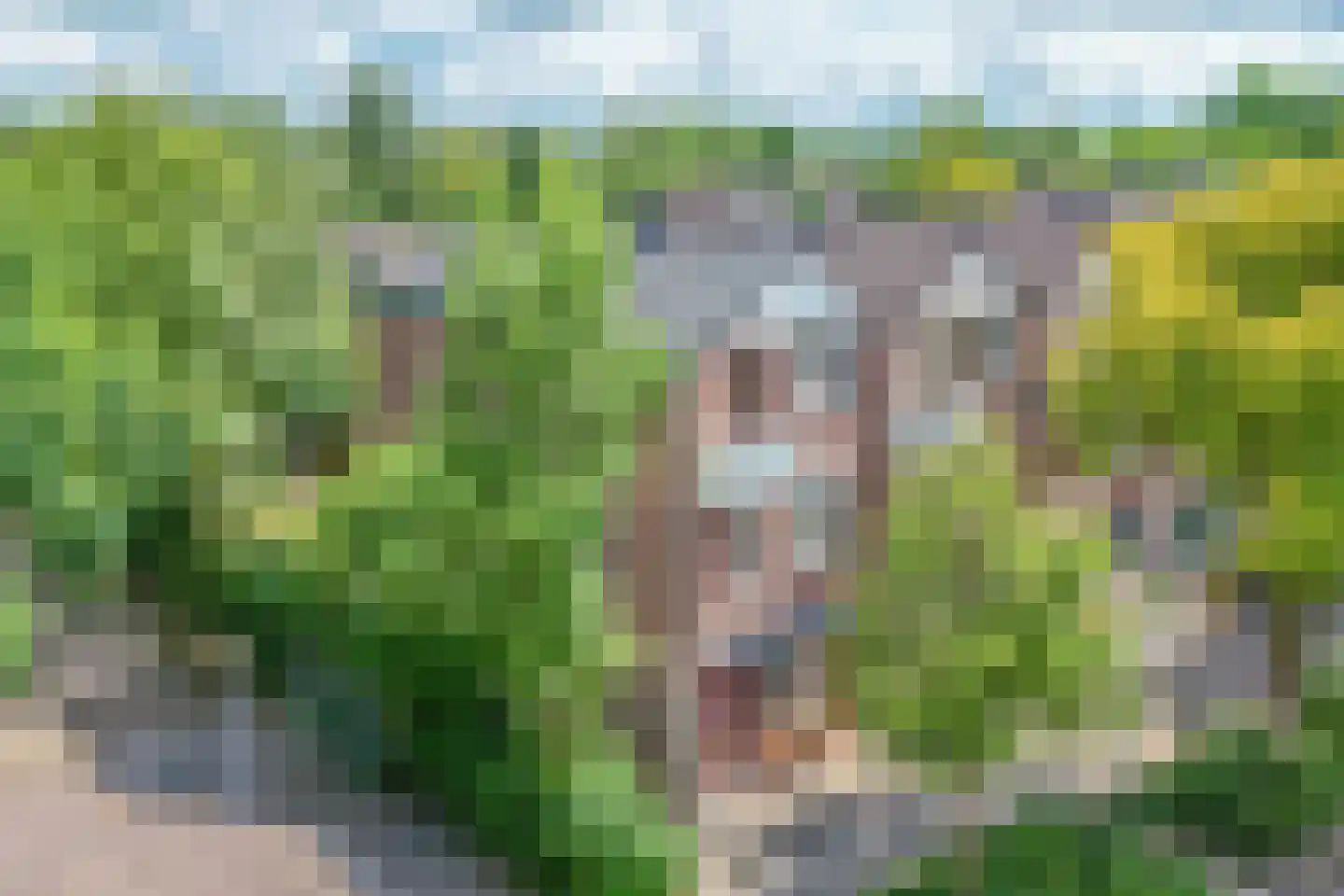 Korstmos 37 Nieuwerkerk aan den IJssel thumbnail 47