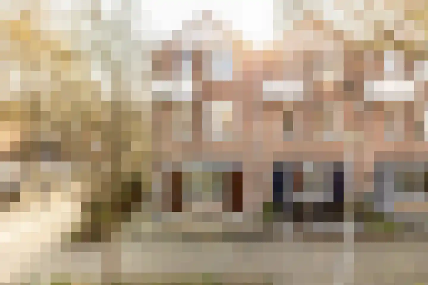 Korstmos 37 Nieuwerkerk aan den IJssel thumbnail 5