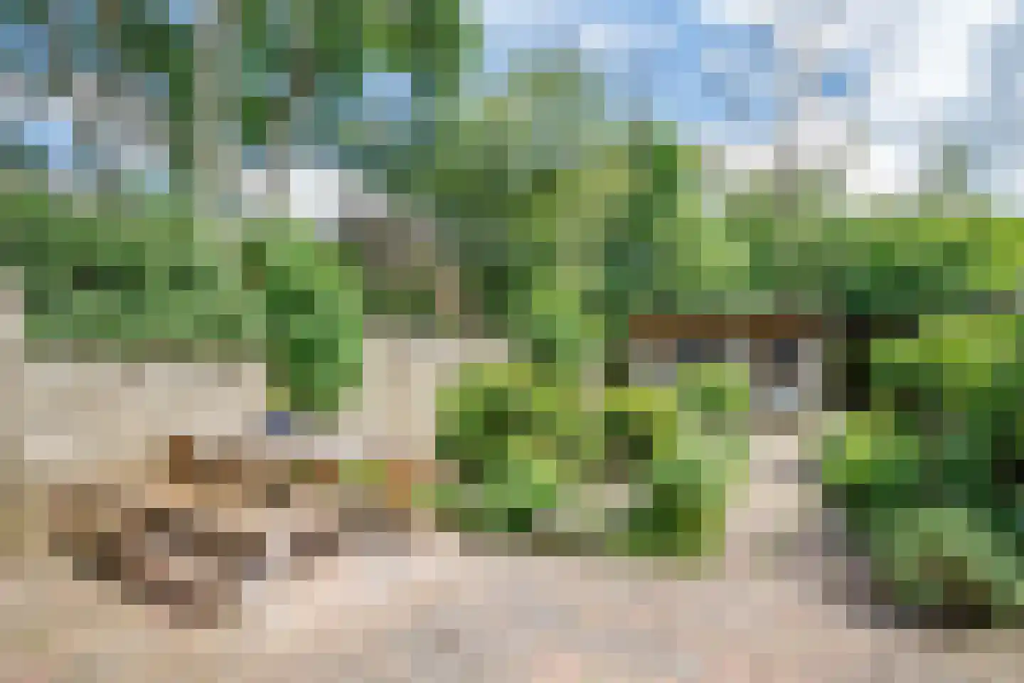 Korstmos 37 Nieuwerkerk aan den IJssel thumbnail 5