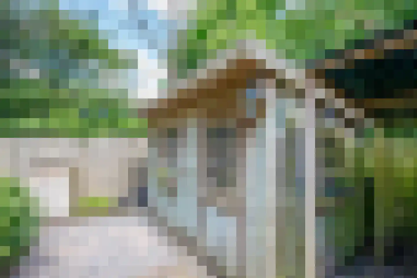 Korstmos 37 Nieuwerkerk aan den IJssel thumbnail 55