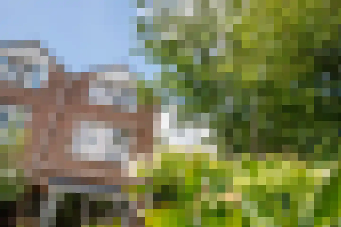 Korstmos 37 Nieuwerkerk aan den IJssel thumbnail 56